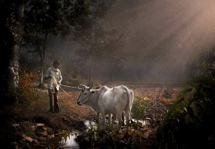 I Spent 2 Years Capturing The Hidden Beauty Of Indian Tribal Village