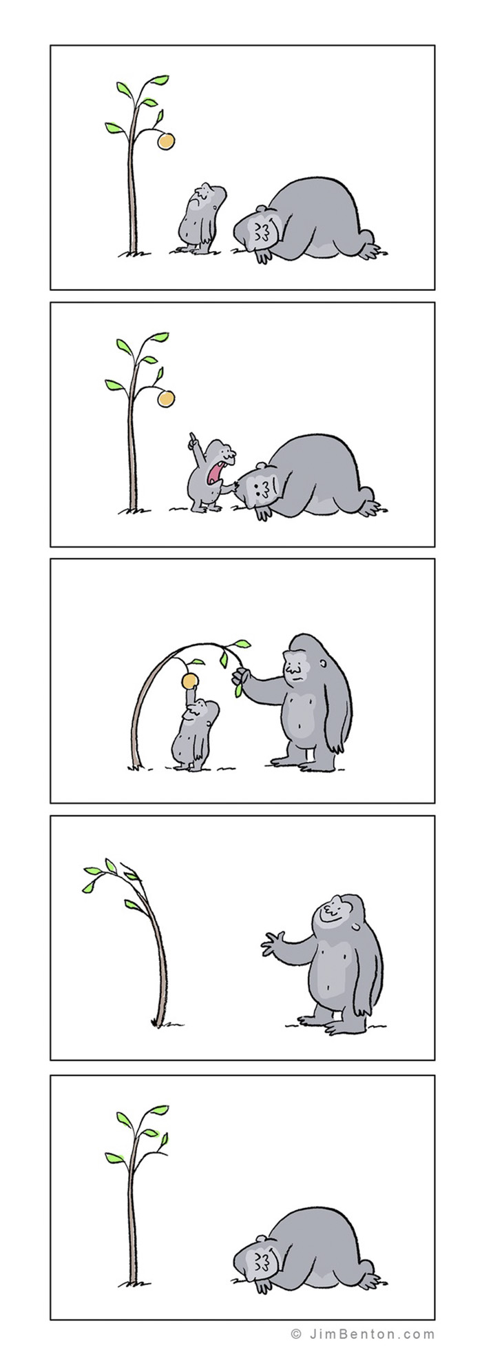 A Few Animal Cartoons By Jim Benton