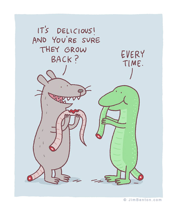 A Few Animal Cartoons By Jim Benton