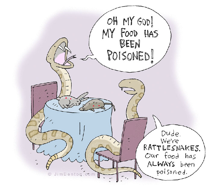 A Few Animal Cartoons By Jim Benton