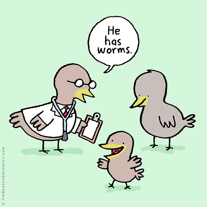 A Few Animal Cartoons By Jim Benton