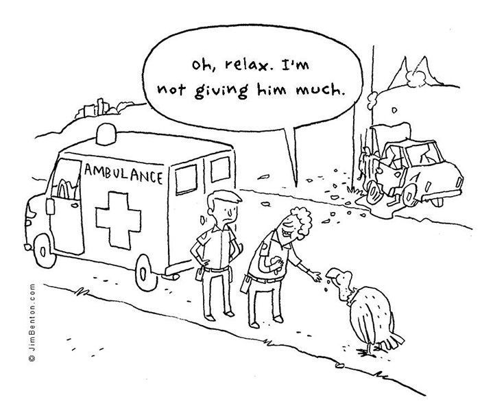 A Few Animal Cartoons By Jim Benton