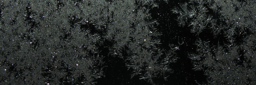 Before Scraping The Frost Off My Car On These Chilly Mornings, I Like To Stop And Appreciate Jack Frost's Delicate Artistry