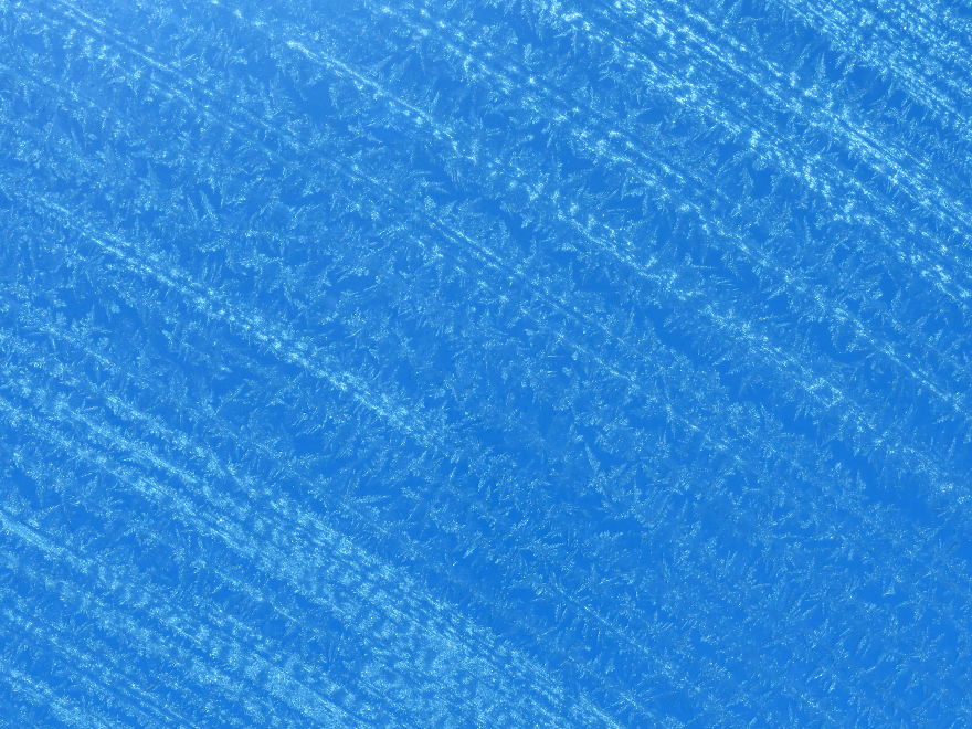 Before Scraping The Frost Off My Car On These Chilly Mornings, I Like To Stop And Appreciate Jack Frost's Delicate Artistry