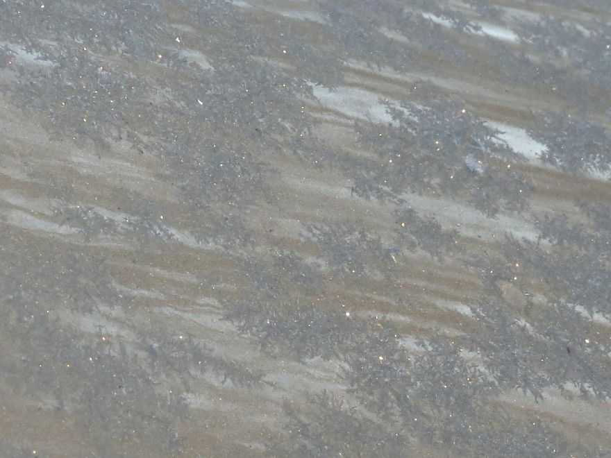 Before Scraping The Frost Off My Car On These Chilly Mornings, I Like To Stop And Appreciate Jack Frost's Delicate Artistry