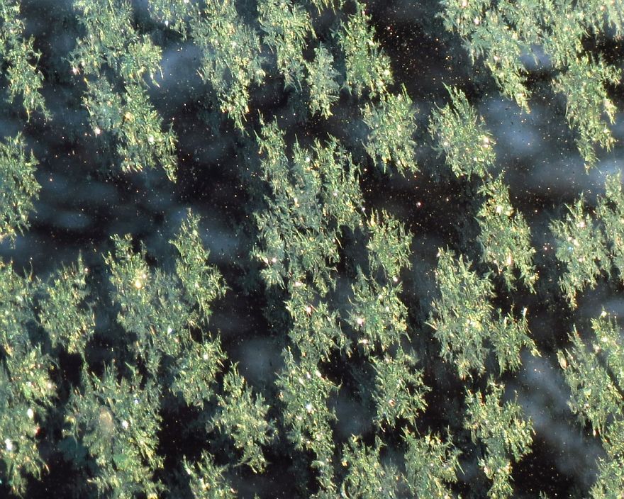 Before Scraping The Frost Off My Car On These Chilly Mornings, I Like To Stop And Appreciate Jack Frost's Delicate Artistry