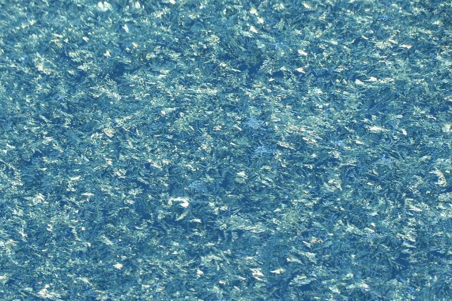 Before Scraping The Frost Off My Car On These Chilly Mornings, I Like To Stop And Appreciate Jack Frost's Delicate Artistry