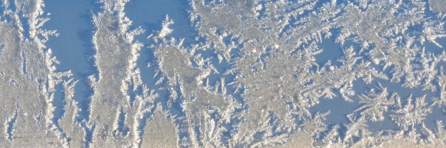 Before Scraping The Frost Off My Car On These Chilly Mornings, I Like To Stop And Appreciate Jack Frost's Delicate Artistry