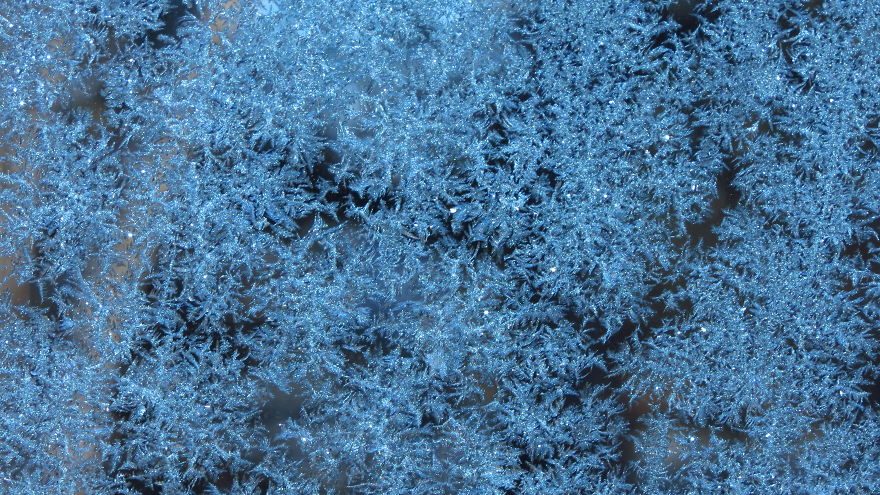 Before Scraping The Frost Off My Car On These Chilly Mornings, I Like To Stop And Appreciate Jack Frost's Delicate Artistry