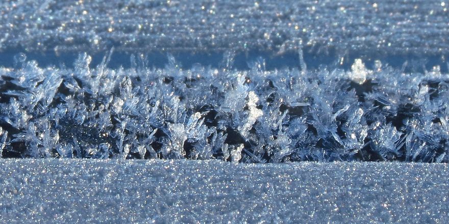 Before Scraping The Frost Off My Car On These Chilly Mornings, I Like To Stop And Appreciate Jack Frost's Delicate Artistry