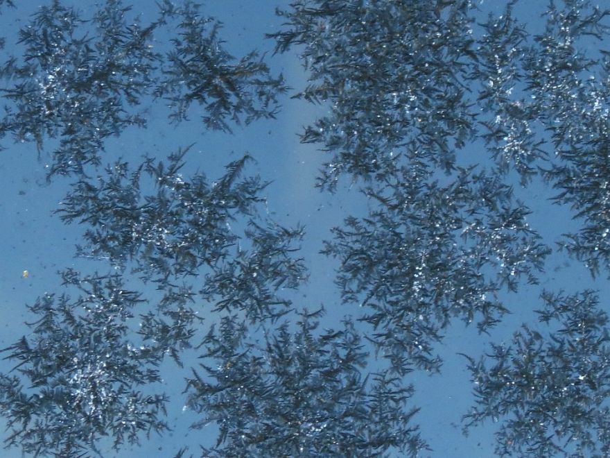 Before Scraping The Frost Off My Car On These Chilly Mornings, I Like To Stop And Appreciate Jack Frost's Delicate Artistry