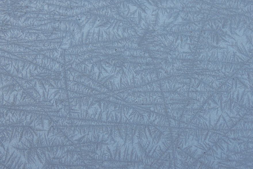 Before Scraping The Frost Off My Car On These Chilly Mornings, I Like To Stop And Appreciate Jack Frost's Delicate Artistry