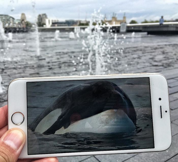 Bringing Things To Life With My Phone