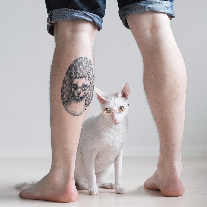 Cornish Rex, Cats With Curls And Rabbit Ears