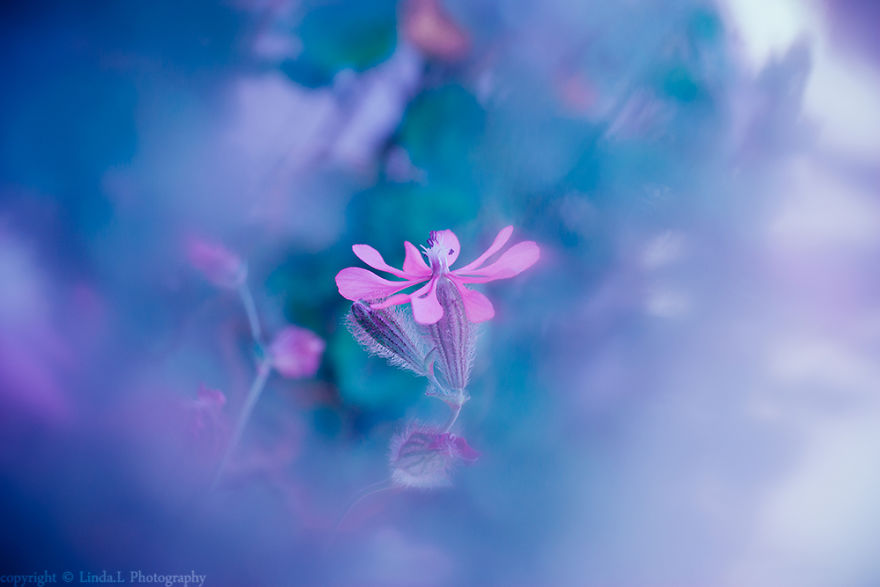 I Used Bubble Wrap To Take Dreamy Photos