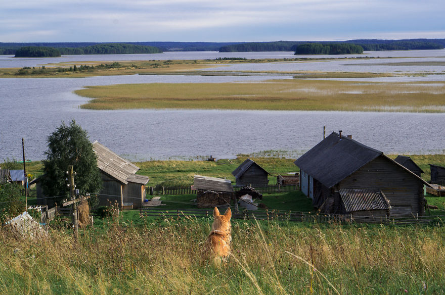 The Cozy Part Of Russia &mdash; Kenozersky National Park