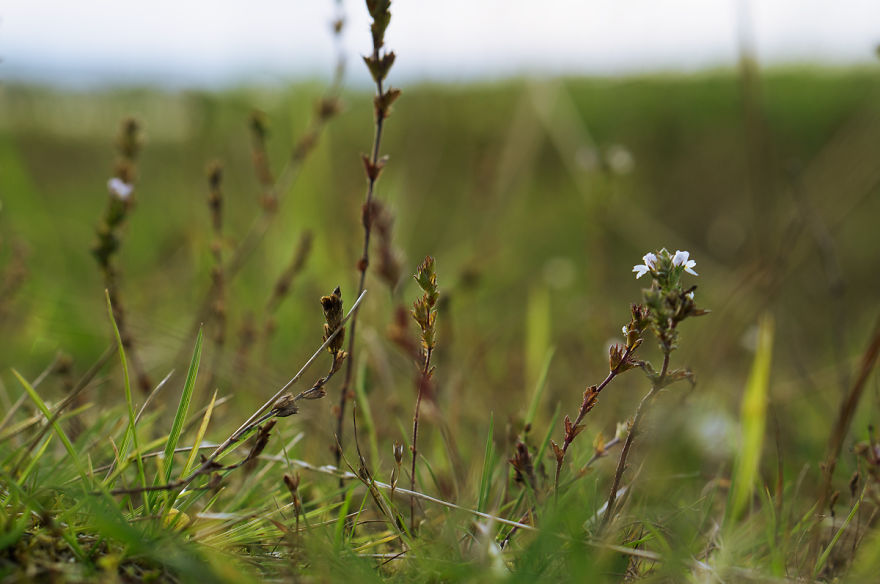 The Cozy Part Of Russia &mdash; Kenozersky National Park