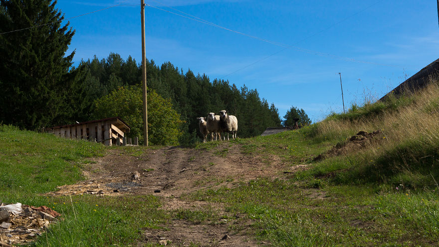 The Cozy Part Of Russia — Kenozersky National Park The Cozy Part Of Russia — Kenozersky National Park