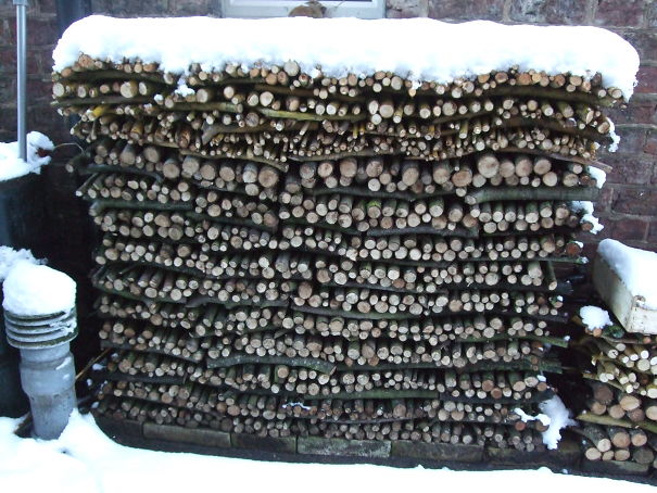 Compost John's Snowy Logpile