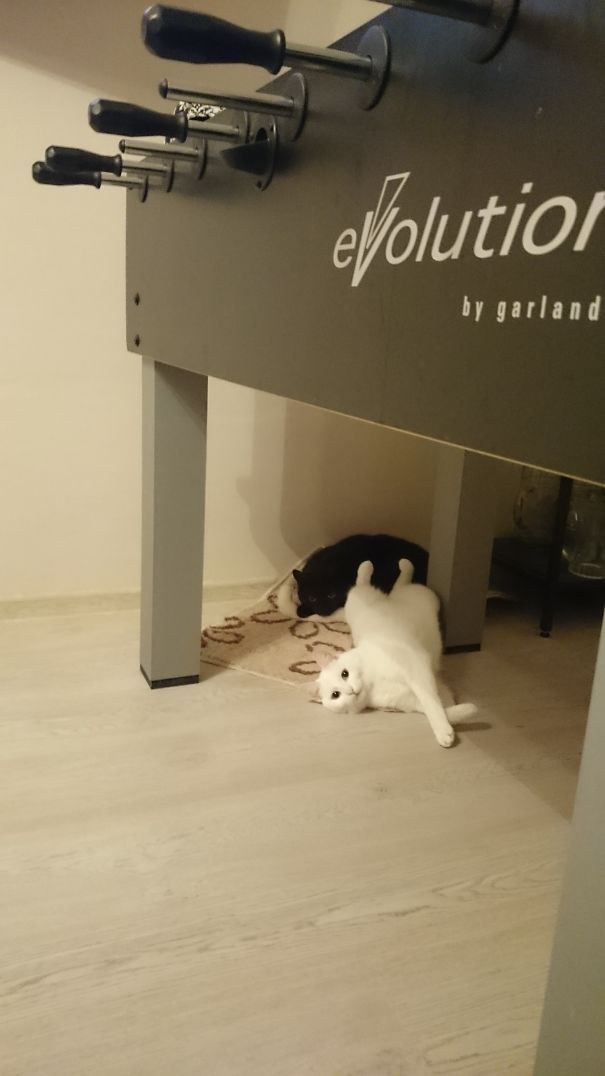 Black & White Laziness...