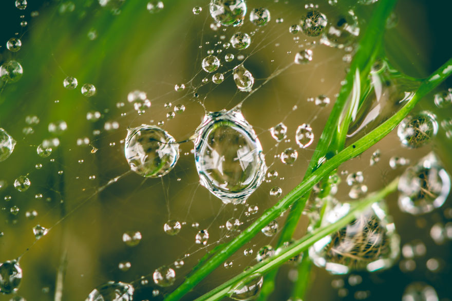 I Take Close-Up Photos Of Nature I Take Close-Up Photos Of Nature