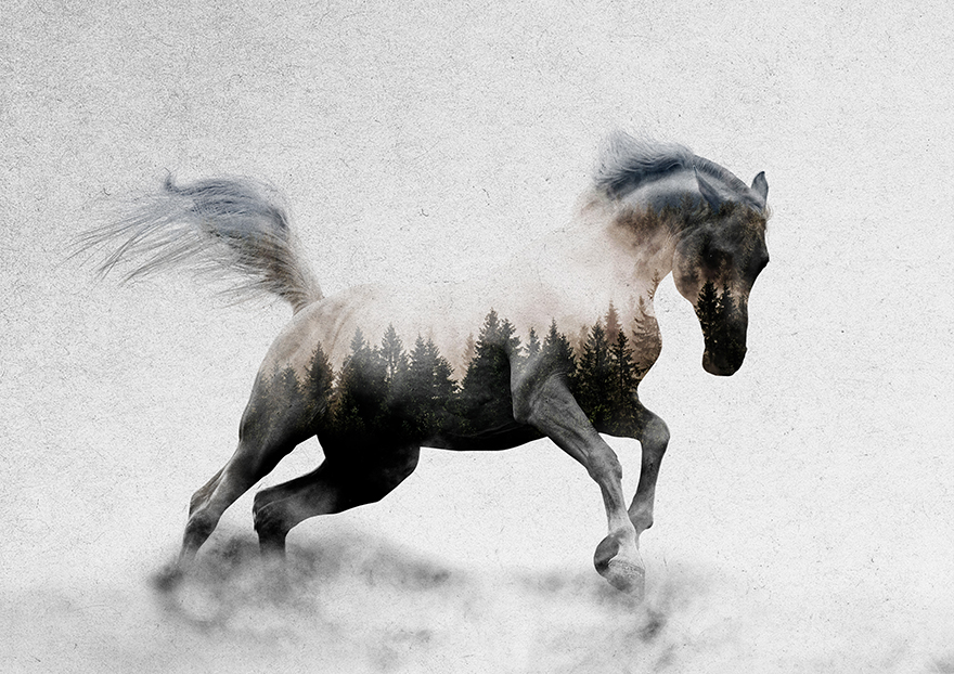 I Combine Animals And Landscapes In My Double Exposure Artwork