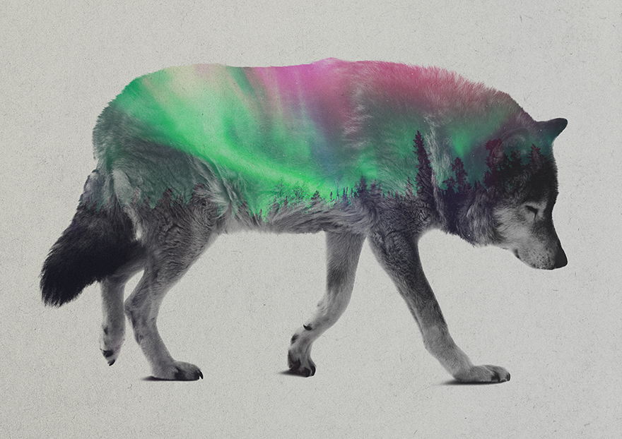 I Combine Animals And Landscapes In My Double Exposure Artwork