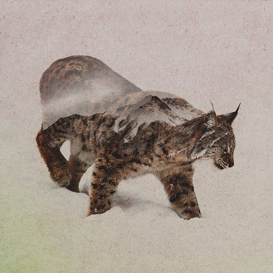 I Combine Animals And Landscapes In My Double Exposure Artwork