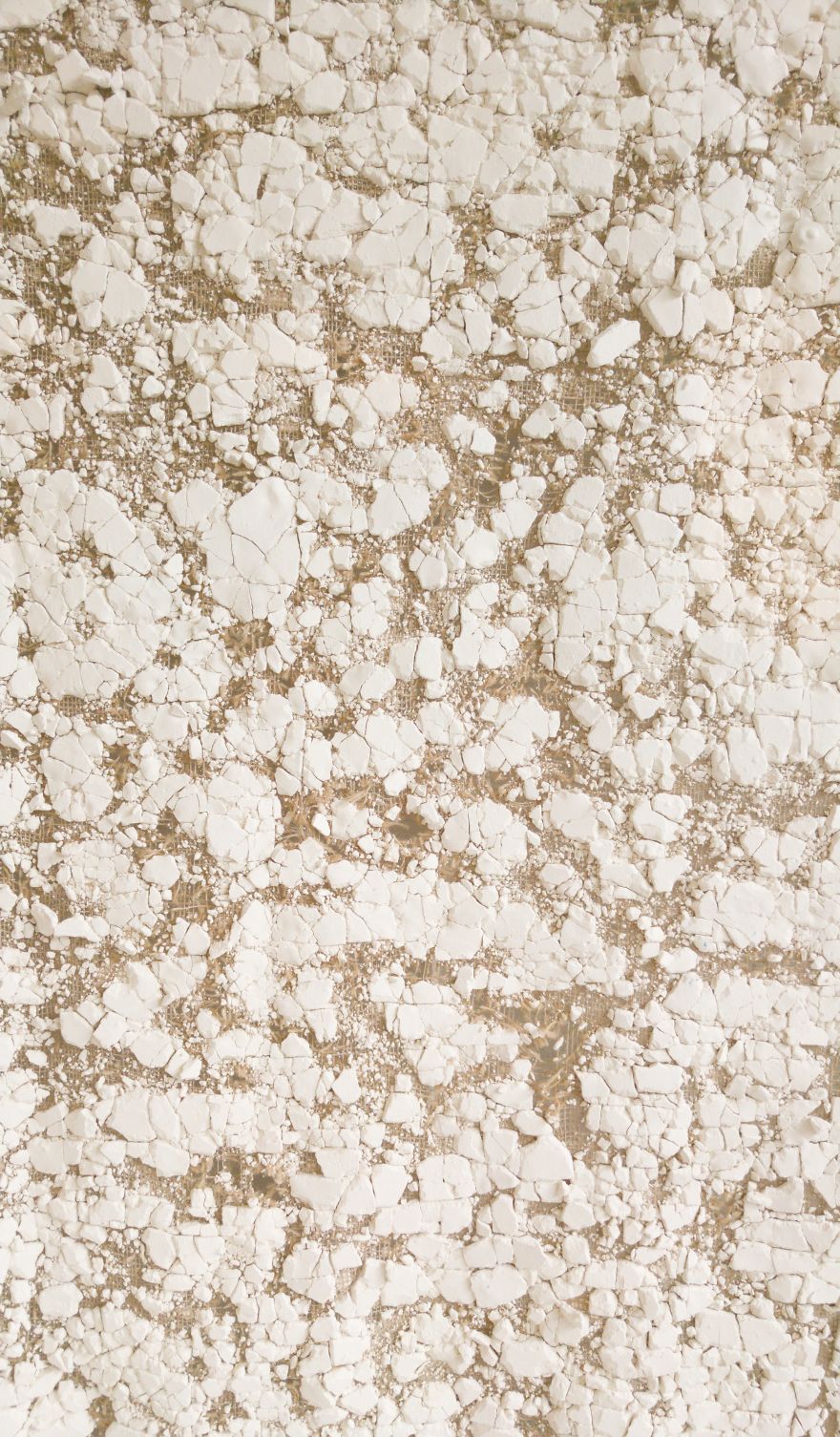 Dutch Design Week 2016