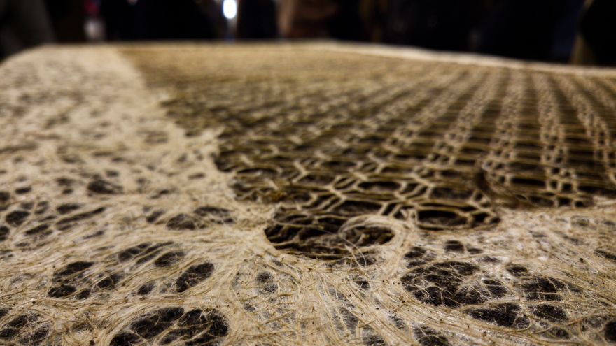 Dutch Design Week 2016