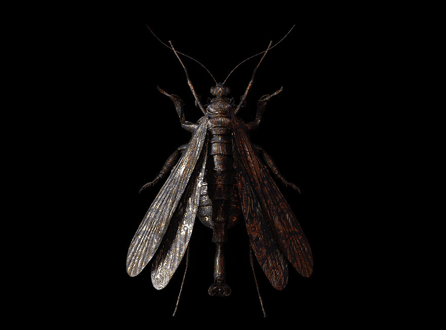 Engraved Entomology By Billelis