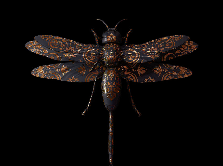 Engraved Entomology By Billelis