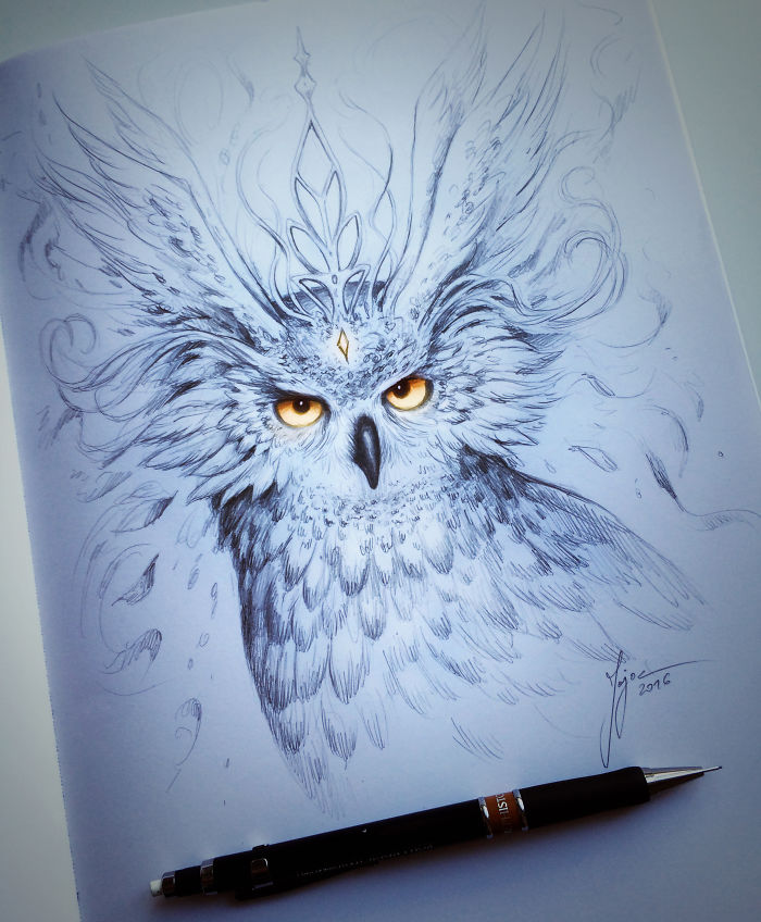 Owl