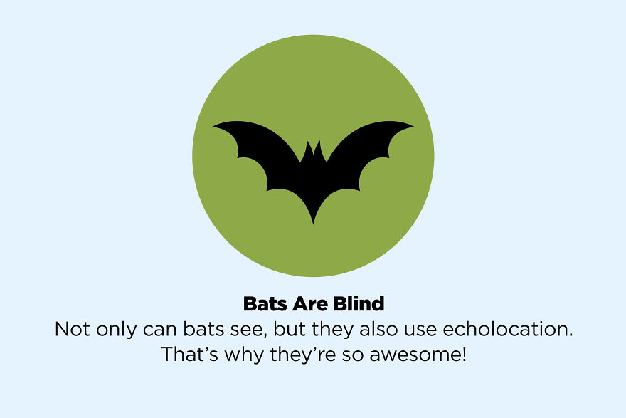 50 Facts That Are Not True