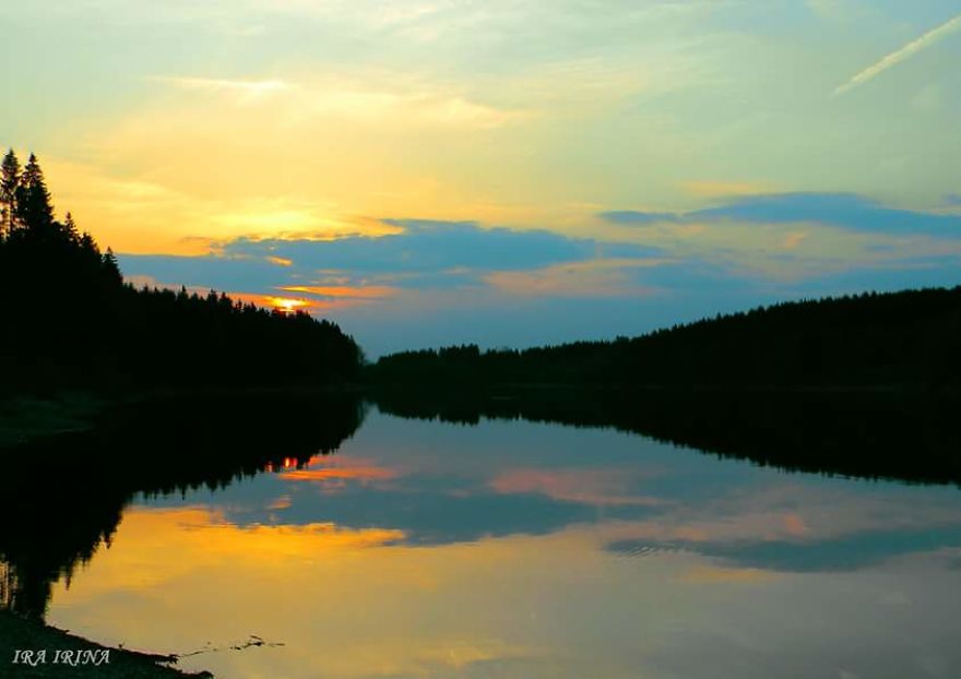 Bored Panda- Photographer