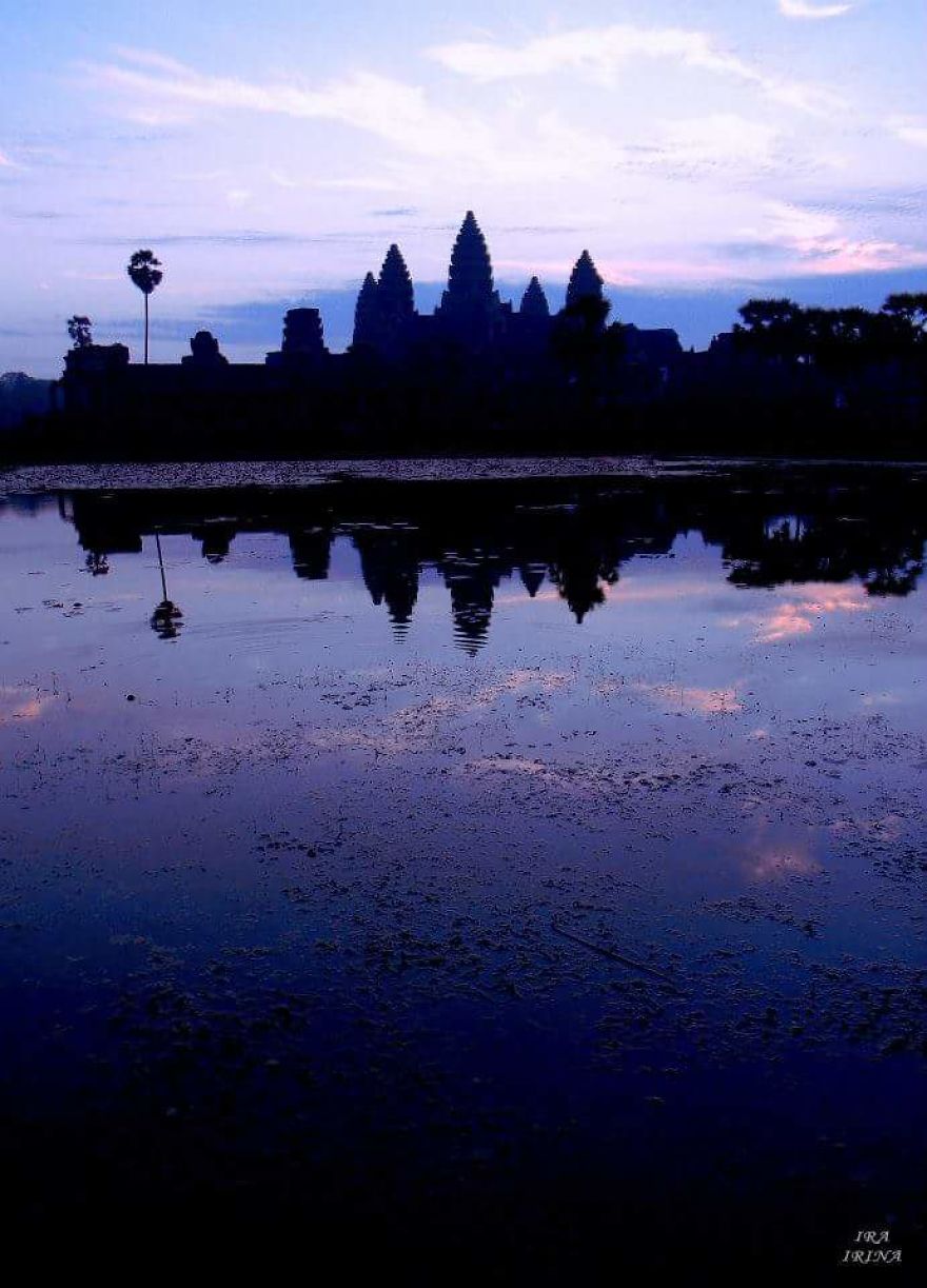 Bored Panda- Photographer