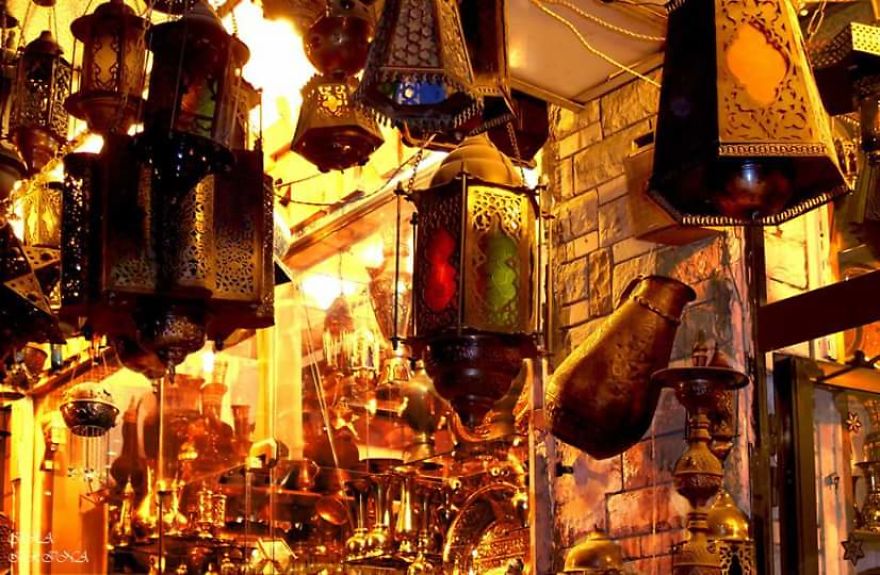 Bored Panda- Photographer