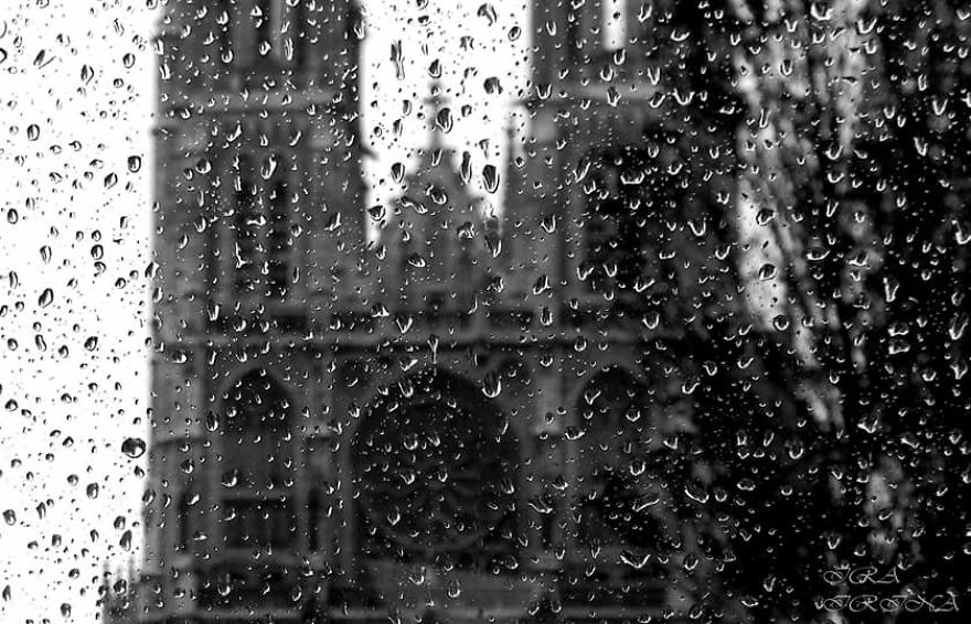 Bored Panda- Photographer