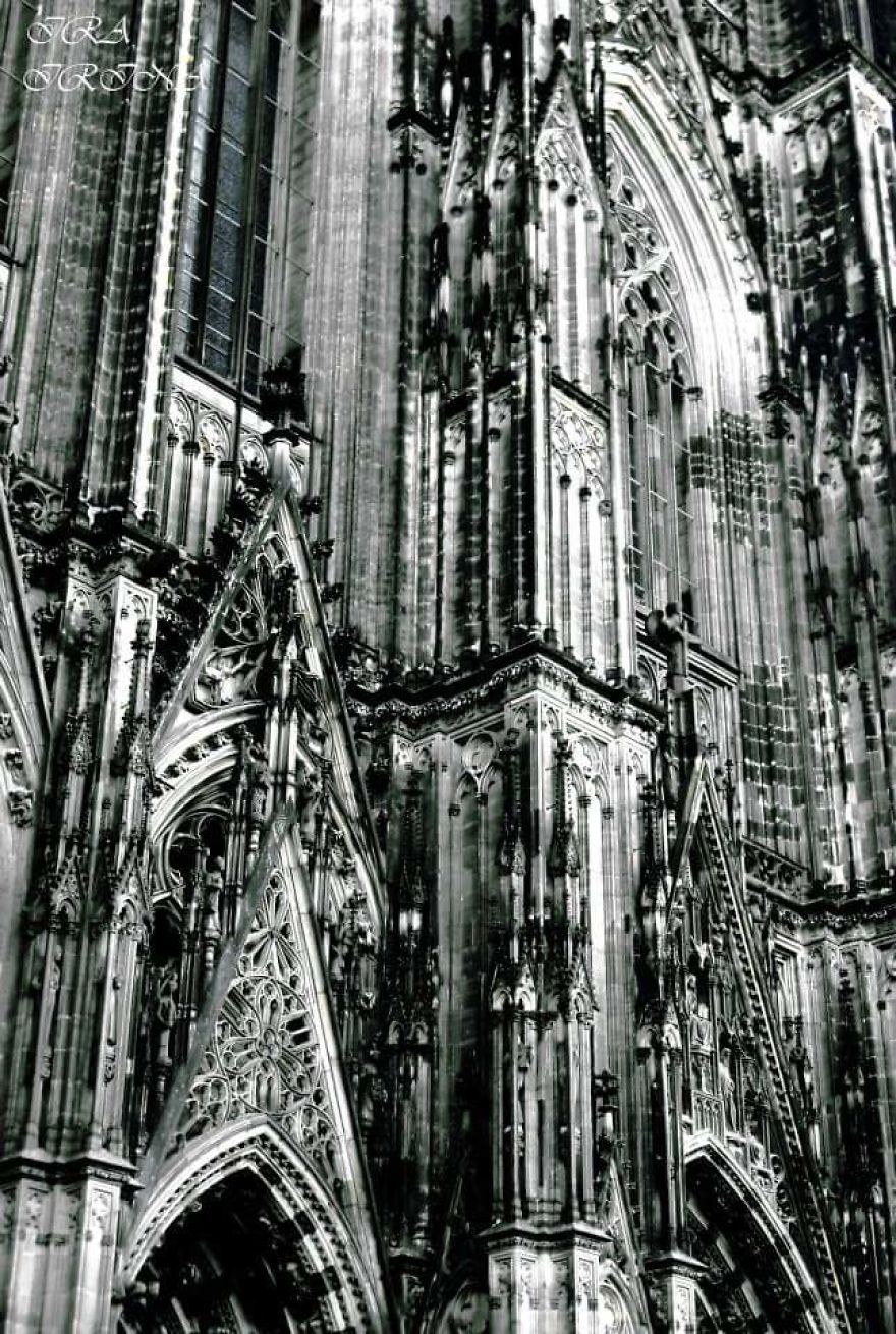 Bored Panda- Photographer