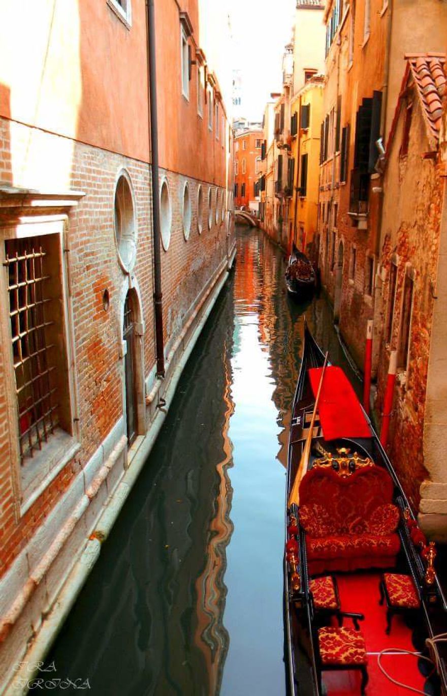 Bored Panda- Photographer