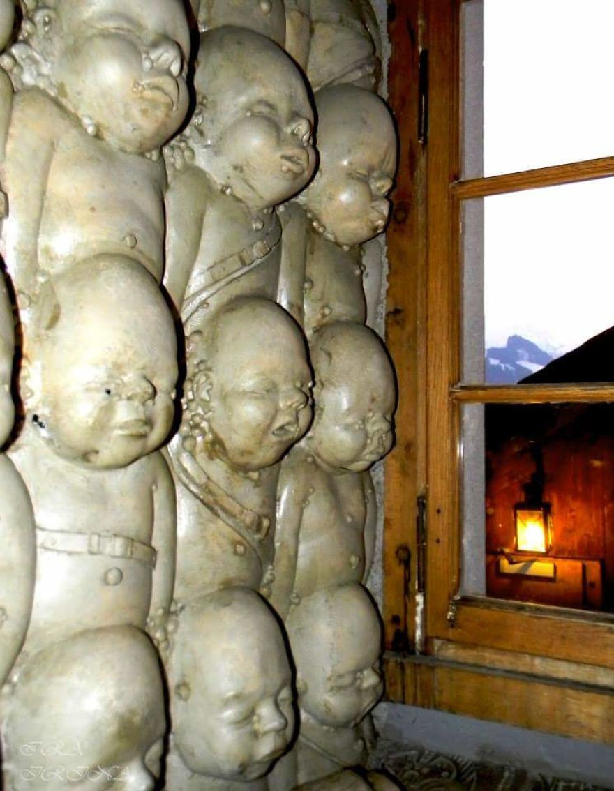 Bored Panda- Photographer