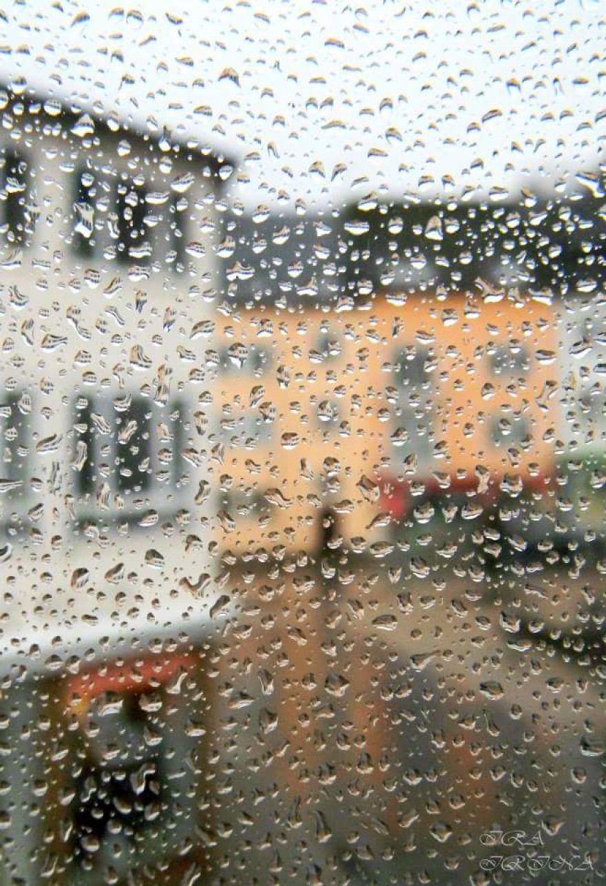 Bored Panda- Photographer