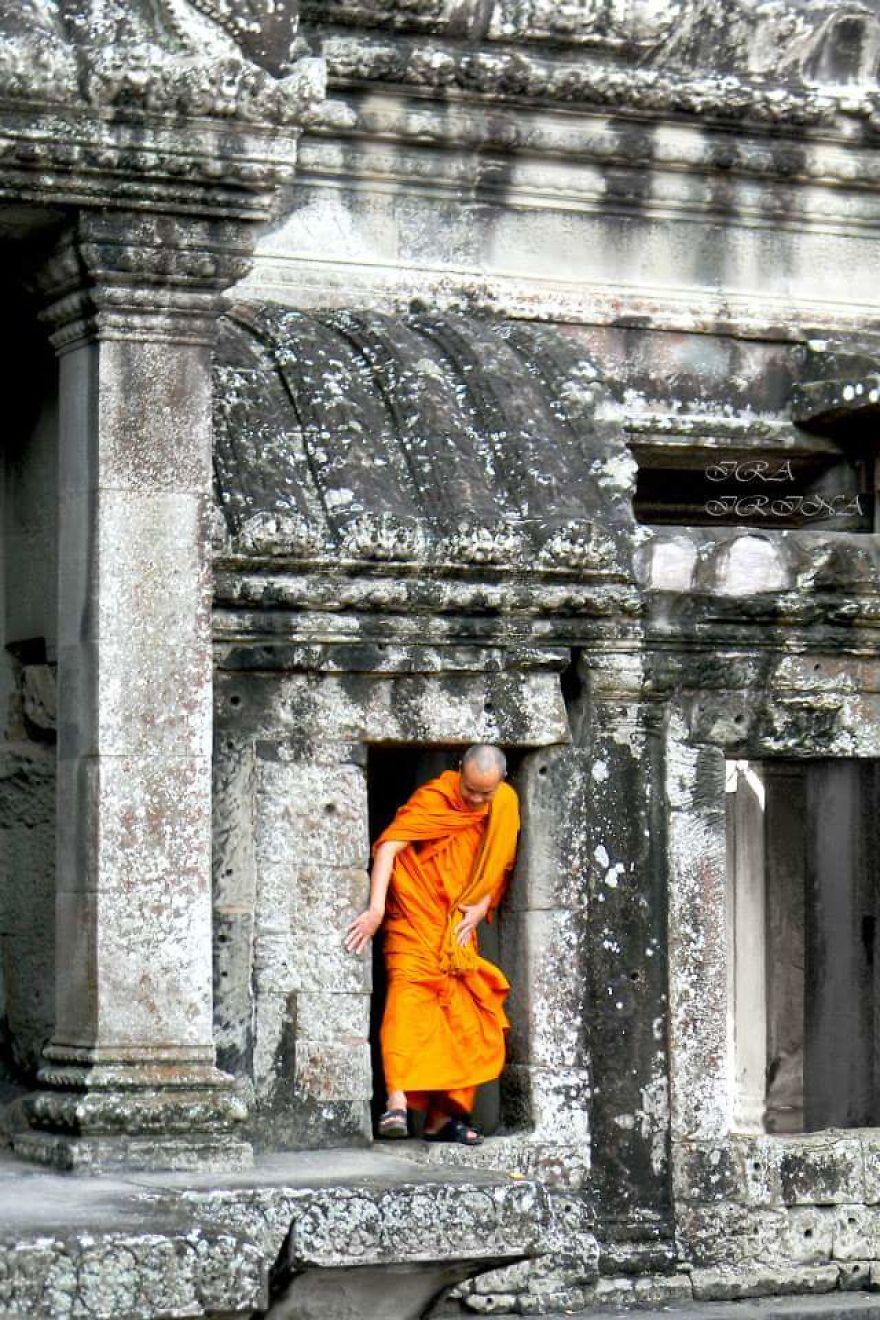 Bored Panda- Photographer