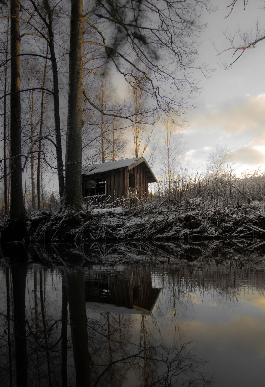 I Started Photographing Swedish Nature As A Therapy After I Injured My Back, Now It's My Passion I Started Photographing Swedish Nature As A Therapy After I Injured My Back, Now It's My Passion
