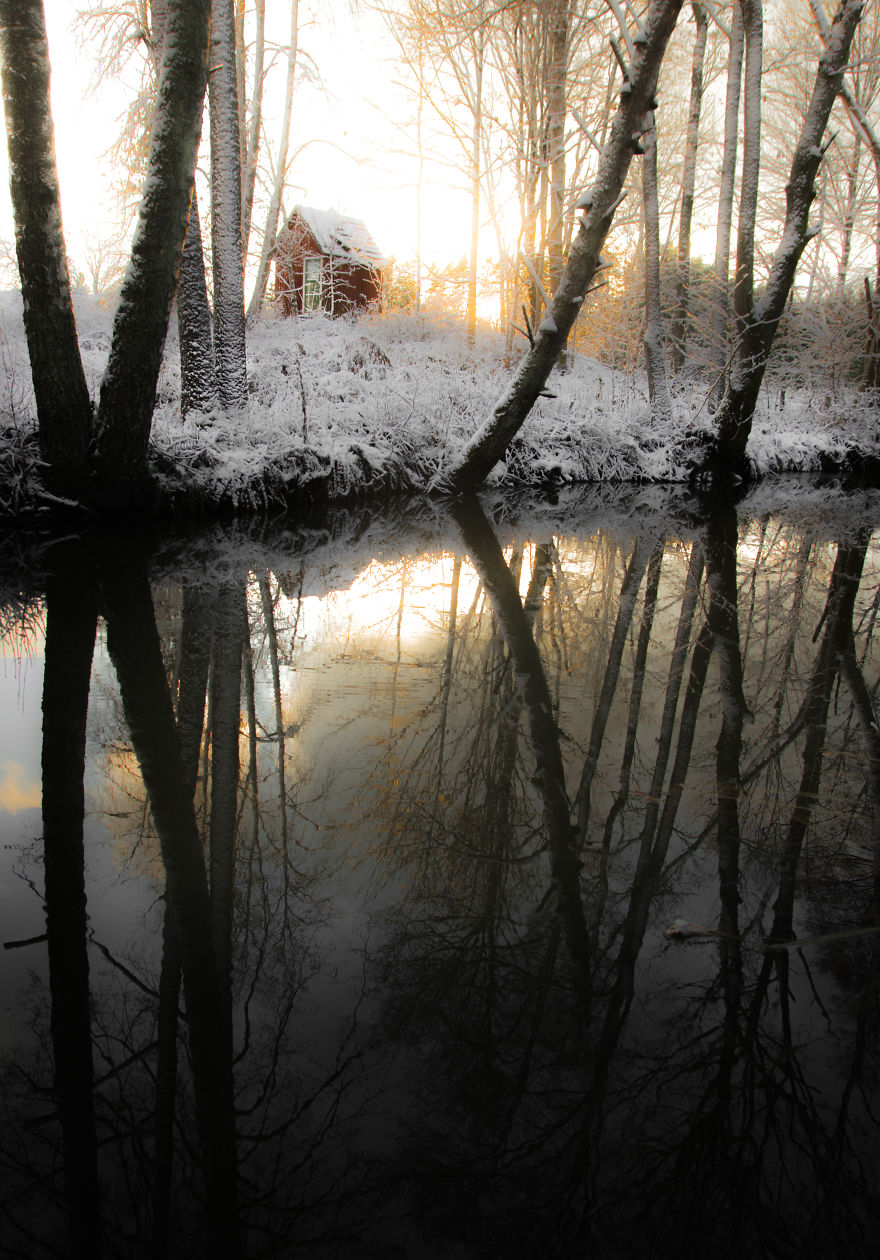 I Started Photographing Swedish Nature As A Therapy After I Injured My Back, Now It's My Passion