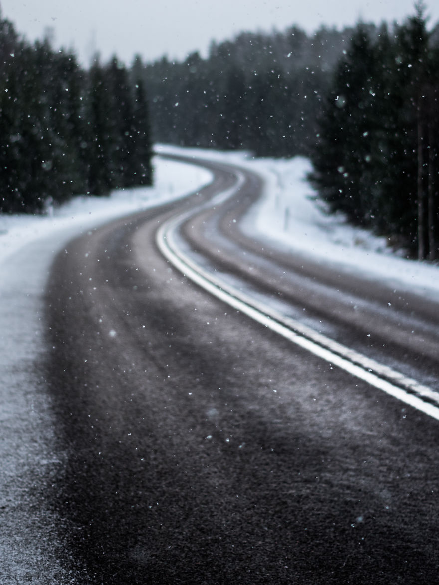 I Started Photographing Swedish Nature As A Therapy After I Injured My Back, Now It's My Passion
