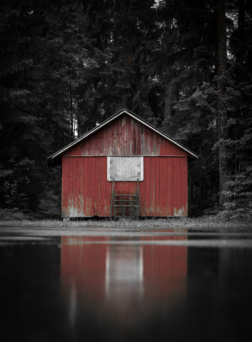 I Started Photographing Swedish Nature As A Therapy After I Injured My Back, Now It's My Passion