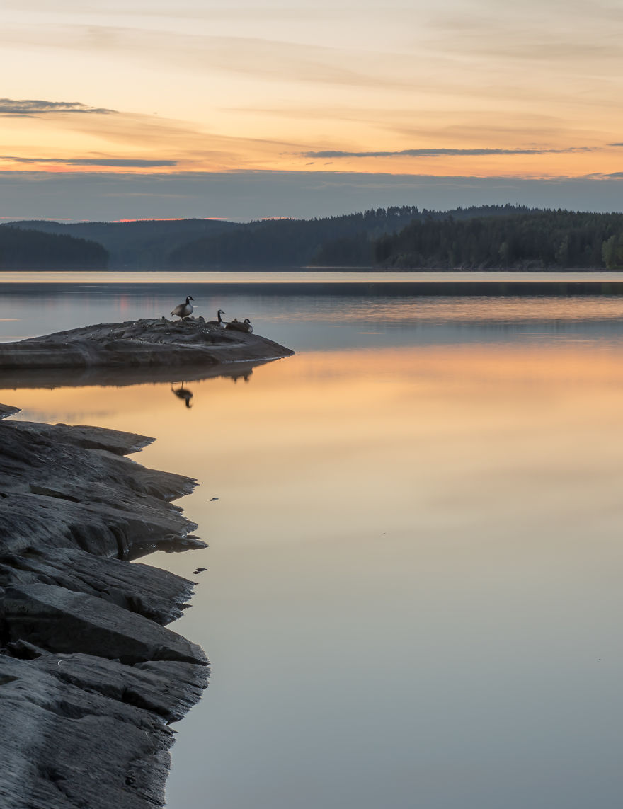 I Started Photographing Swedish Nature As A Therapy After I Injured My Back, Now It's My Passion