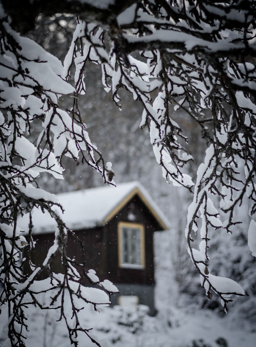 I Started Photographing Swedish Nature As A Therapy After I Injured My Back, Now It's My Passion