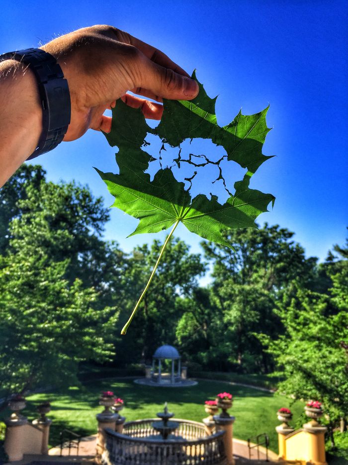 3 Years Ago I Started Learn 100 Methods Of Drawing, Here Is One Of Them